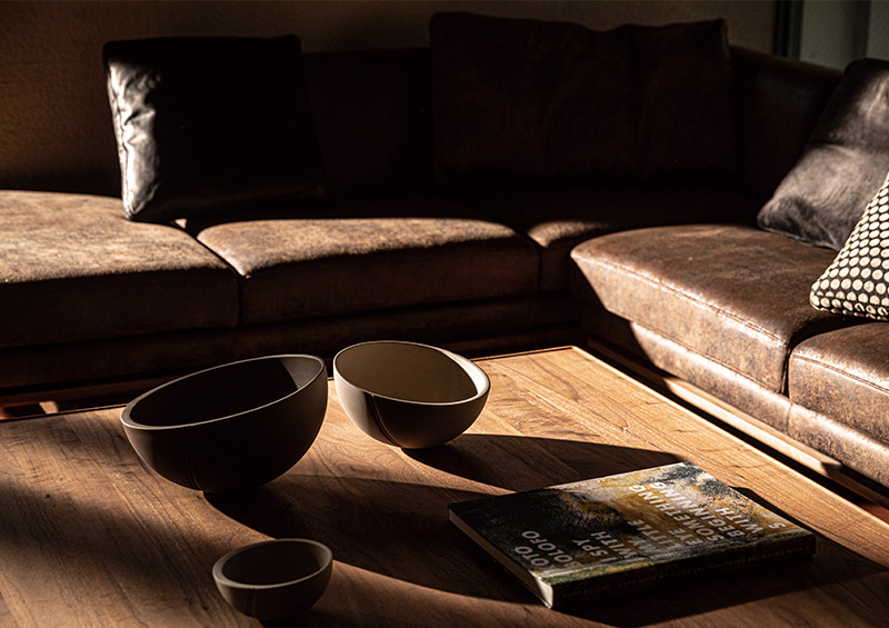 NovoL09030_home5_04 fuji