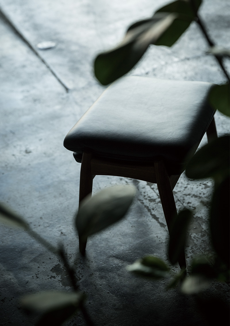 X02510_3 fuji