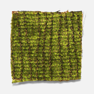 MC35 fuji Fabric
