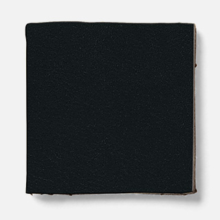 fj13 fuji Leather