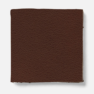 fo11 fuji Leather