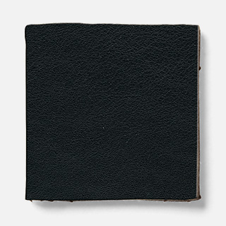 fo13 fuji Leather