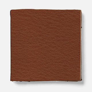 fo18 fuji Leather