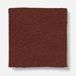 fo19 fuji Leather