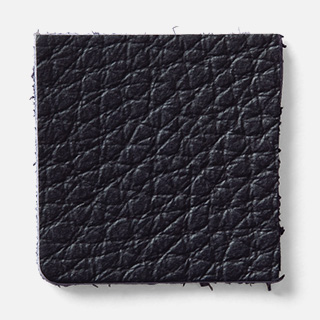 iv80 fuji Leather