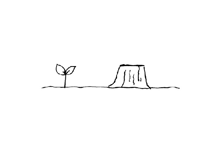 01-Regeneration