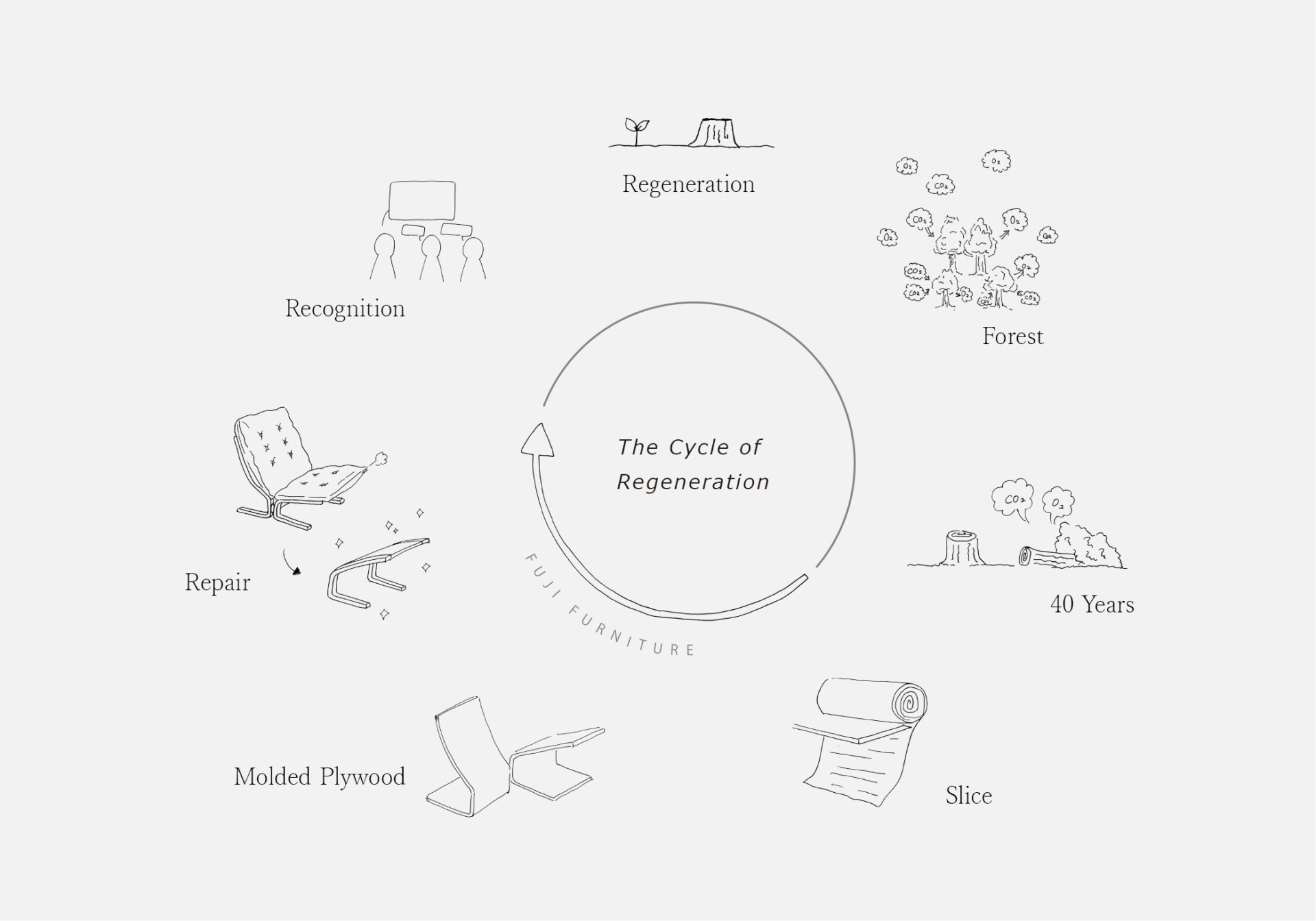 The Cycle of Regeneration